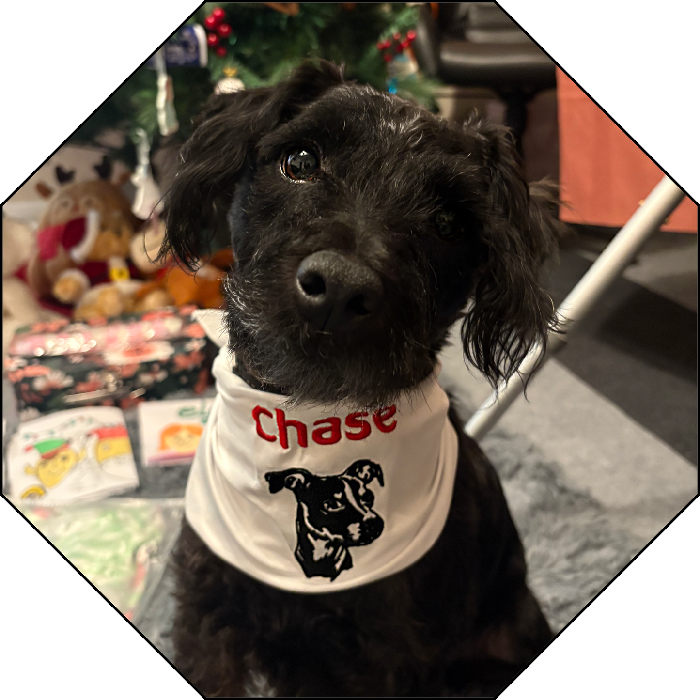 Personalised Pet Bandana - Name and breed