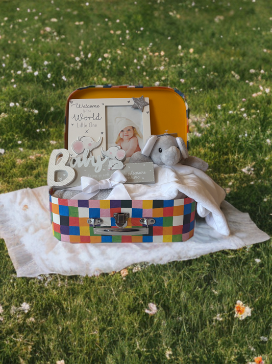 Elmer Elephant Box (Deluxe)