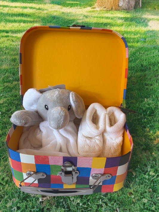 Elmer Elephant Box